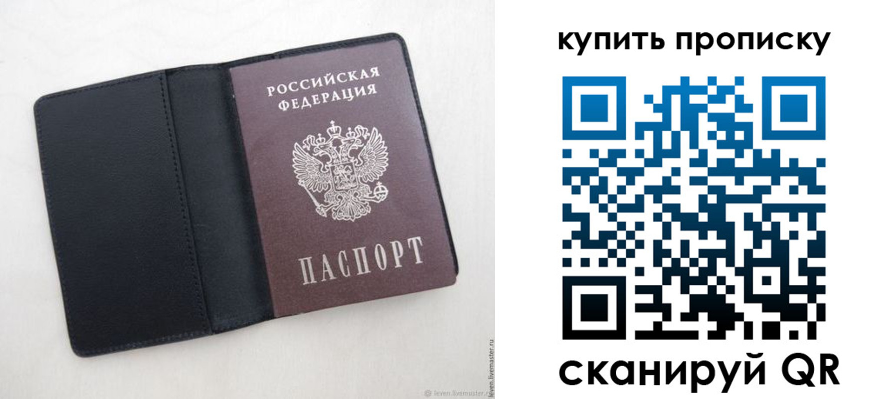 прописка поиск в Шумихе
