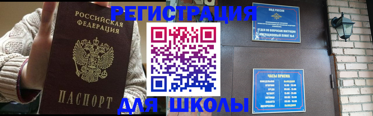 прописка для школы в Шумихе